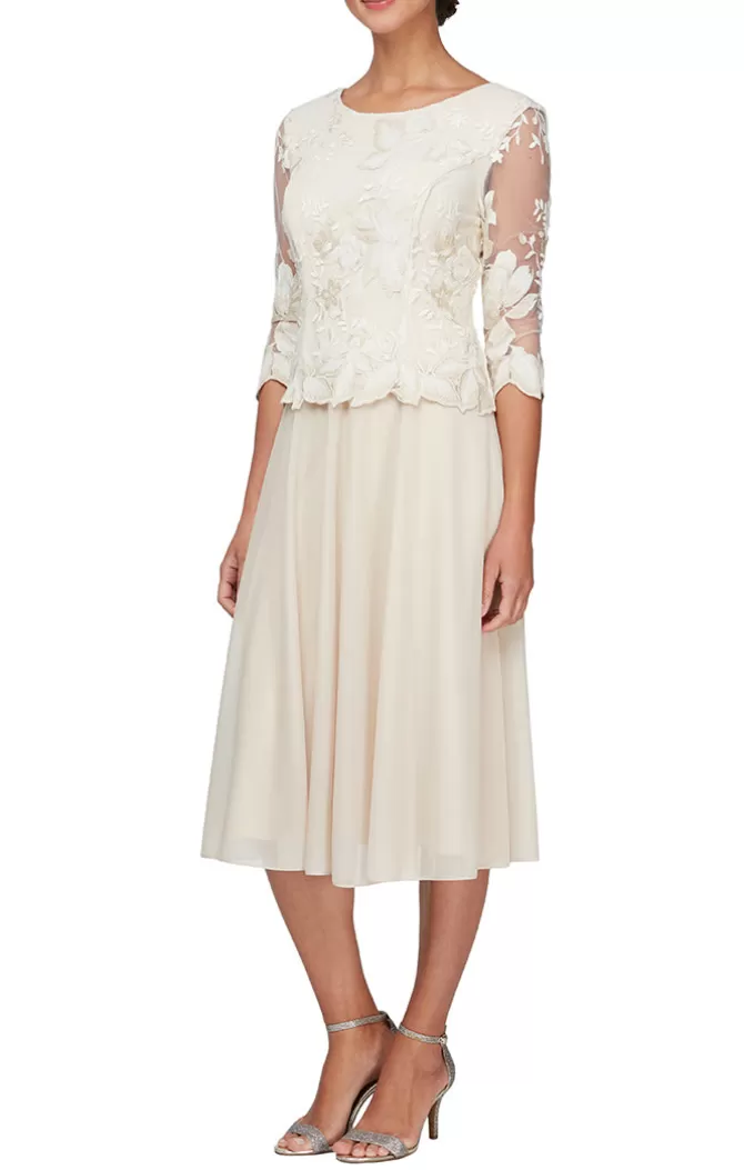 Women Alex Evenings Petite Sizes*Petite Embroidered Tulle Dress With Illusion Sleeves & Scallop Trim