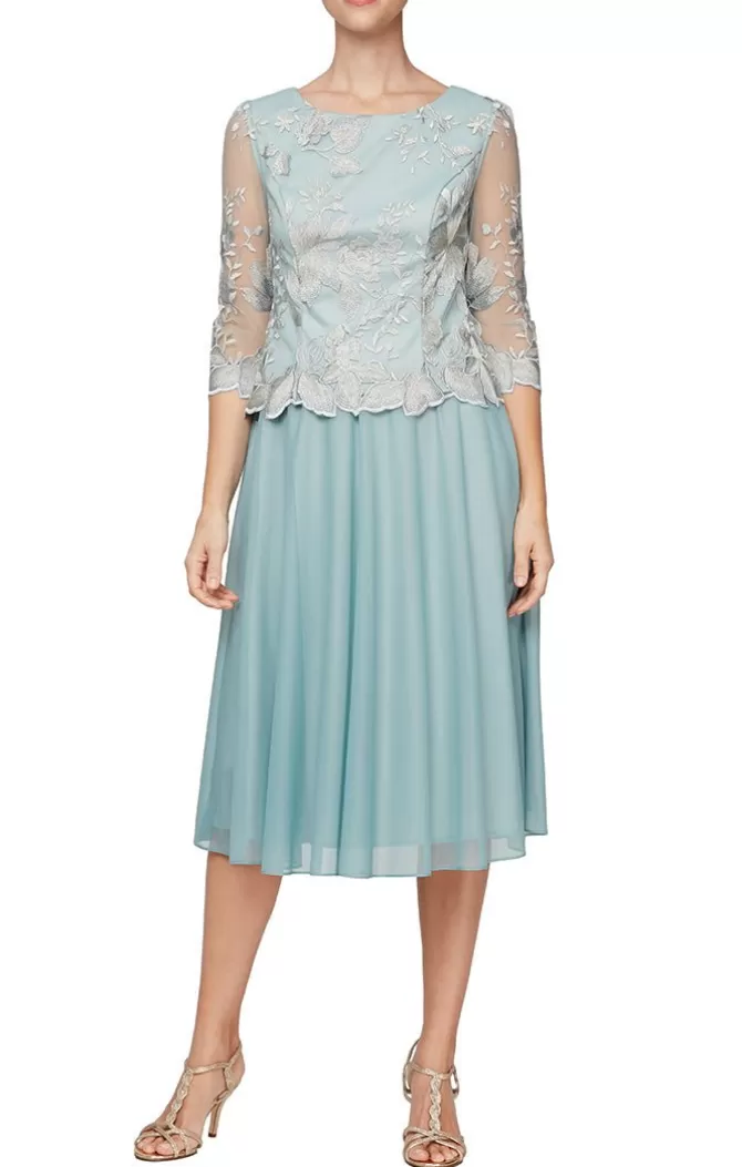 Women Alex Evenings Petite Sizes*Petite Embroidered Tulle Dress With Illusion Sleeves & Scallop Trim